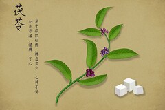 篮球重复训练法举例_0